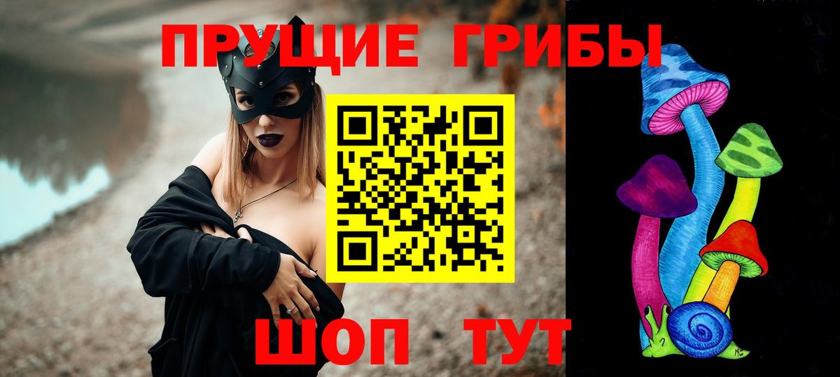 Черкесск  Псилоцибиновые грибы Psilocybine cubensis  Вход с VPN  Галлюциногенные грибы GOLDEN TEACHER 
